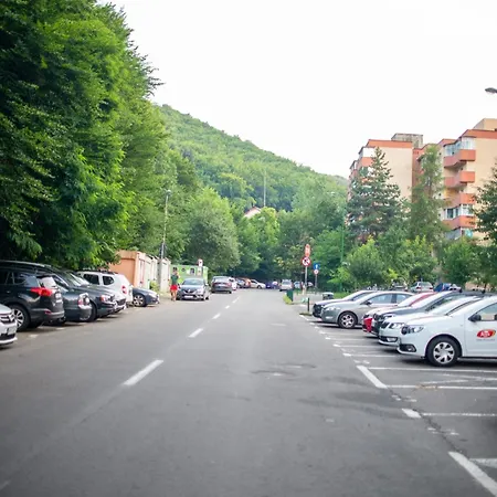 アパート Tampa Mountain Nature Hideaway - Luxury