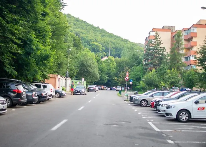 アパート Tampa Mountain Nature Hideaway - Luxury